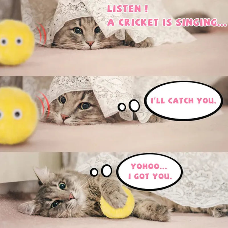 Smart Cat Toys Interactive Ball Cat Training Toy Lifelike Animal Chirping Sounds Bird Call Ball Pet Supplies Attract Cat Fun Cat Cats Kitten Kitty Toys(1/3Pcs）