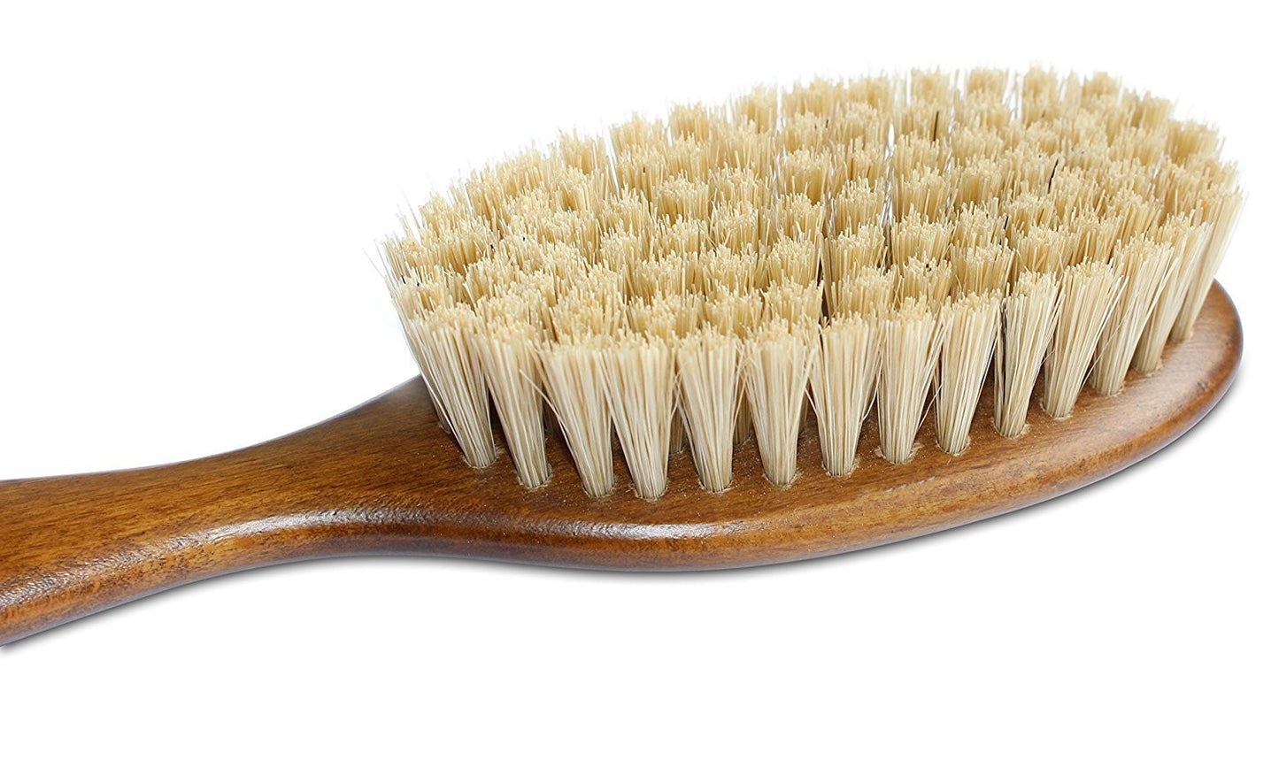 Bristle Cat Hair Brush Deshedding Tool for Thick Coats Pet Grooming