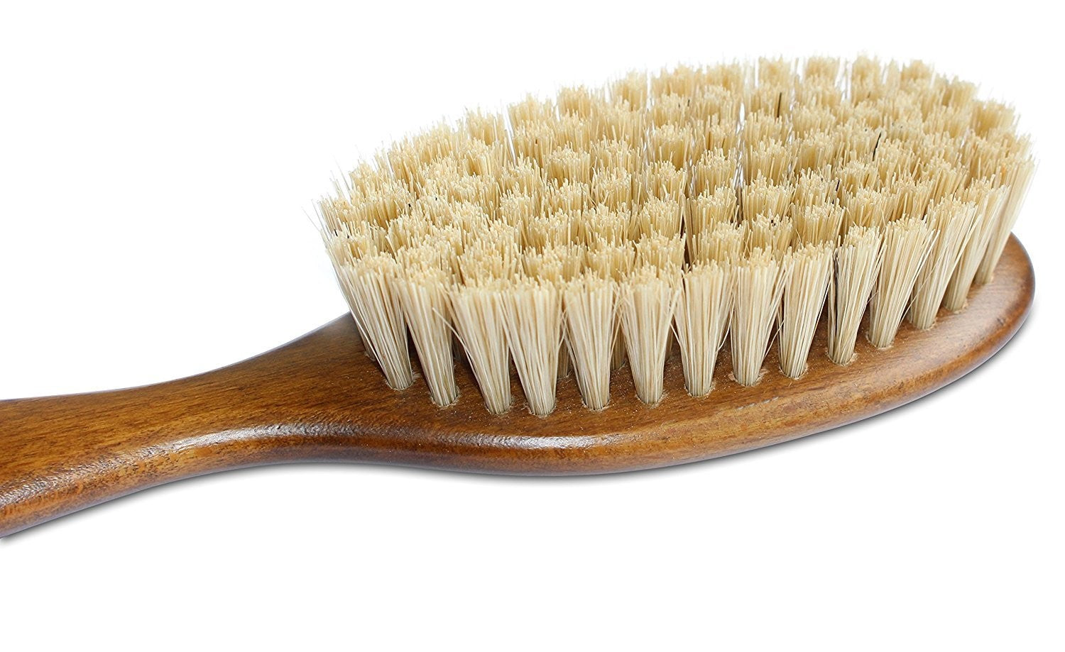 Bristle Cat Hair Brush Deshedding Tool for Thick Coats Pet Grooming