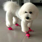 4Pcs/Set Pet Accessories Pet Supplies Pet Dog Shoes Waterproof Booties Rubber Shoes Socks Boots