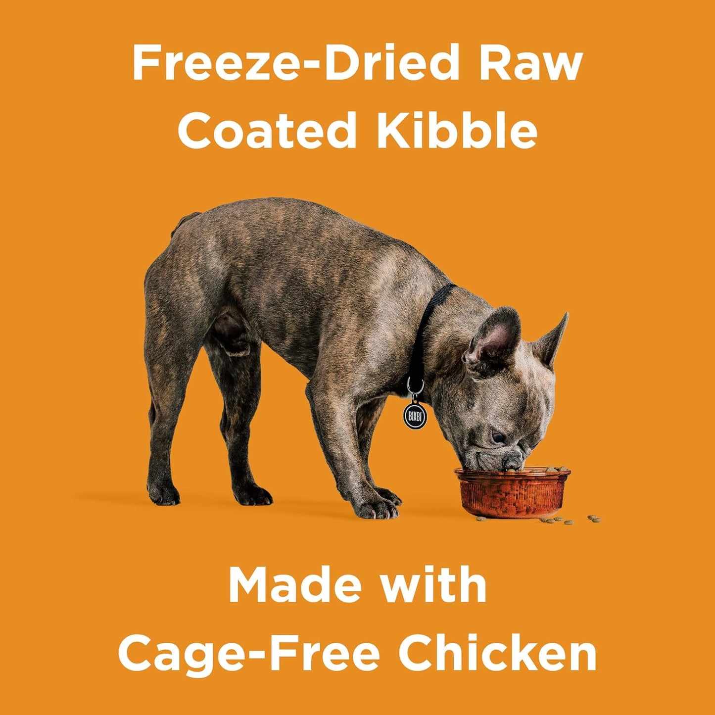 Rawbble Dry Dog Food, Chicken, 24 Lbs - USA Made with Fresh Meat - No Meat Meal & No Corn, Soy or Wheat - Freeze Dried Raw Coated Dog Food - Minimally Processed for Superior Digestibility