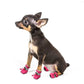 4Pcs/Set Pet Accessories Pet Supplies Pet Dog Shoes Waterproof Booties Rubber Shoes Socks Boots
