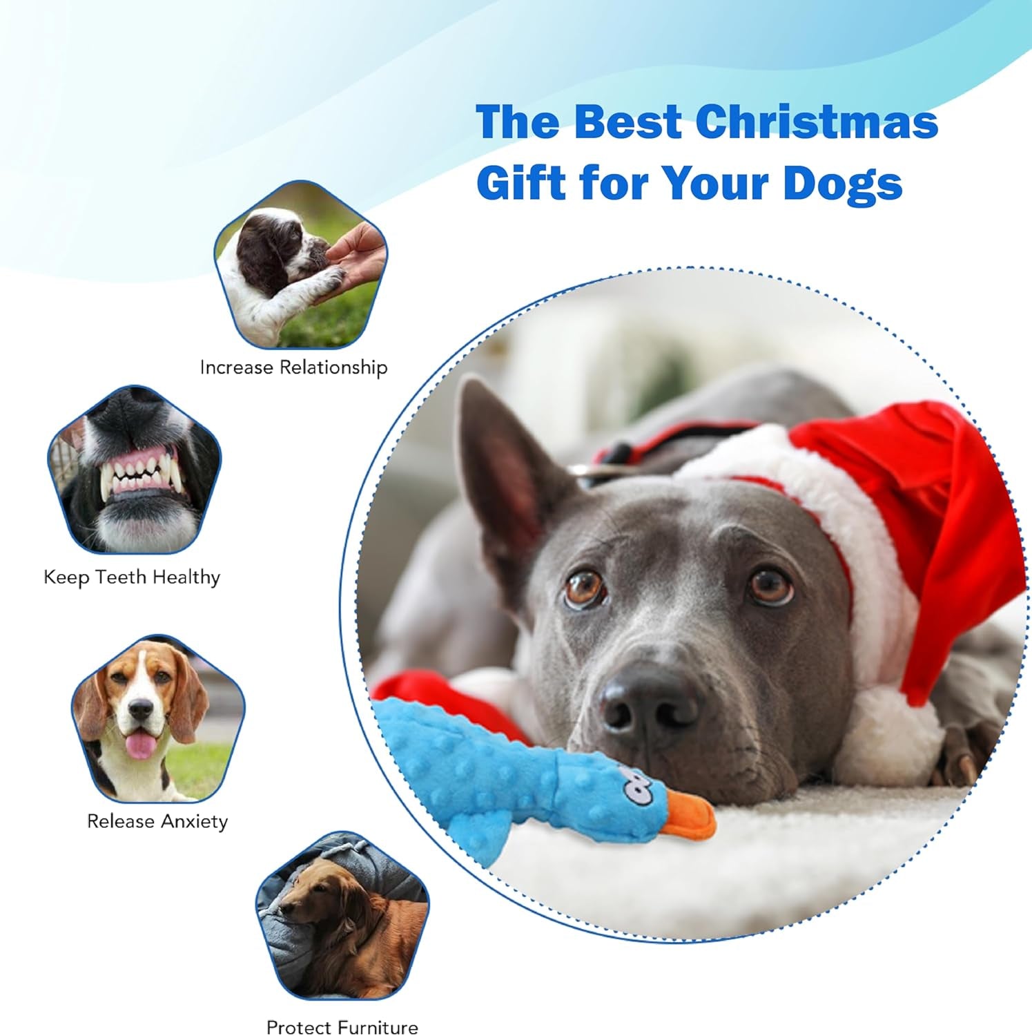 Dog Squeaky Toys, Durable Stuffed Crinkle Plush Dog Chew Toys for Puppy Teething, Interactive Dog Toys for Small, Medium and Large Dogs (Purple+Blue, Duck)