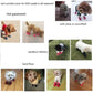 4Pcs/Set Pet Accessories Pet Supplies Pet Dog Shoes Waterproof Booties Rubber Shoes Socks Boots