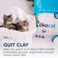 Original Wood Clumping Cat Litter, Unscented, 13.2 Pounds - Natural Ingredients, Stops Odor, Clumps Solid, 99% Dust Free, Great for All Cats