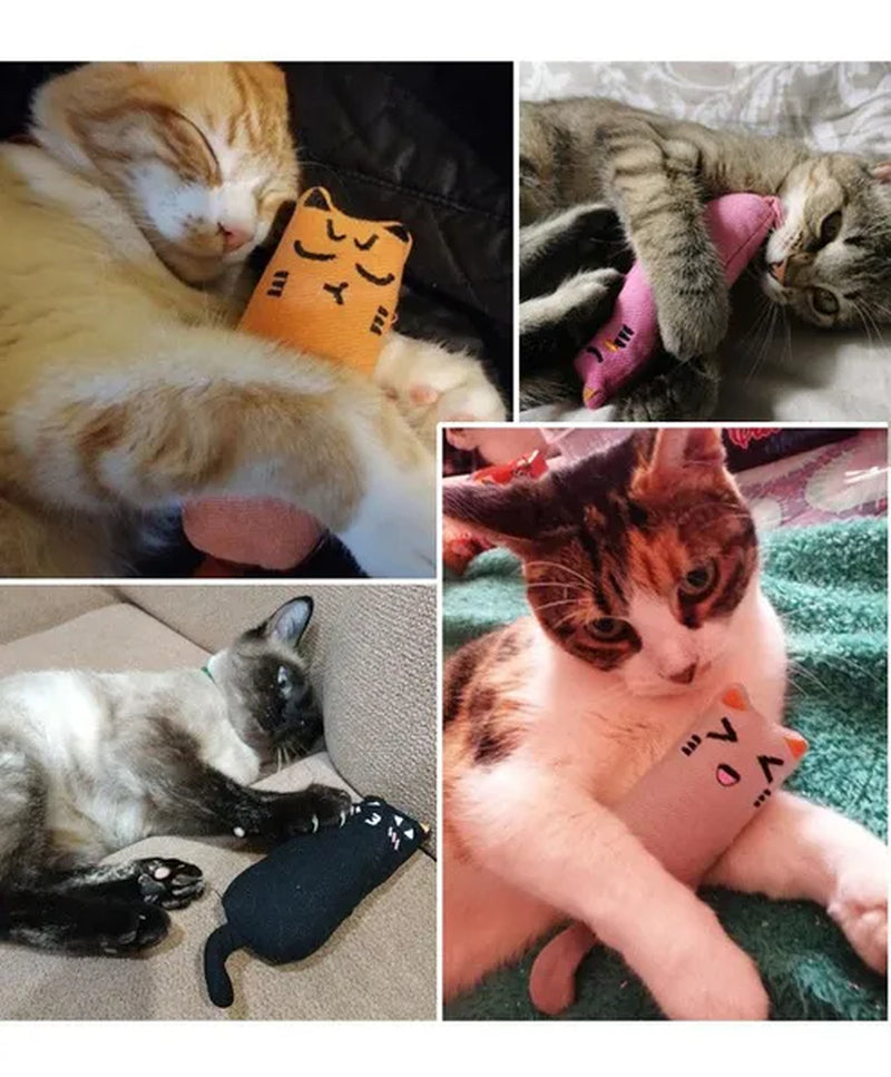Rustle Sound Catnip Toy Cats Products for Pets Cute Cat Toys for Kitten Teeth Grinding Cat Plush Thumb Pillow Pet Accessories